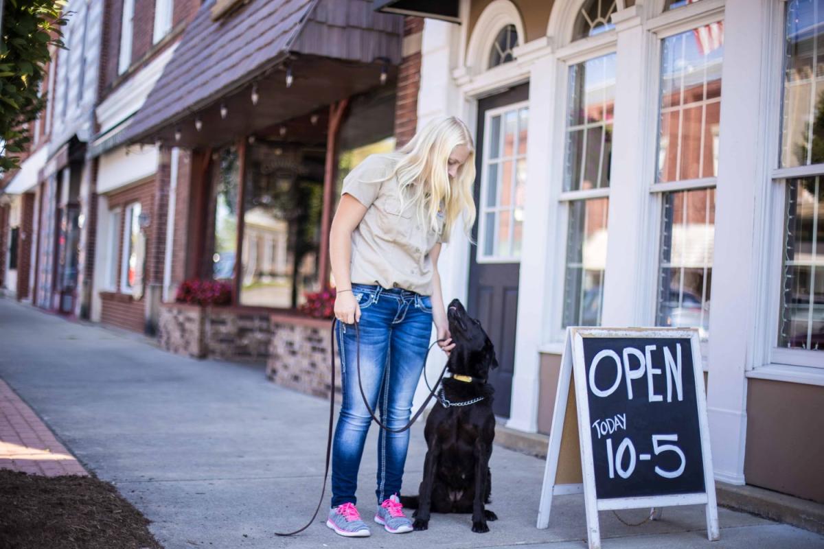 Companion Dog Training