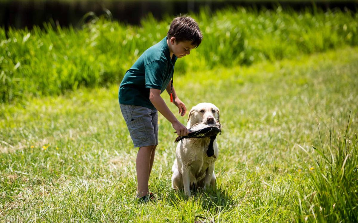Field Training Programs