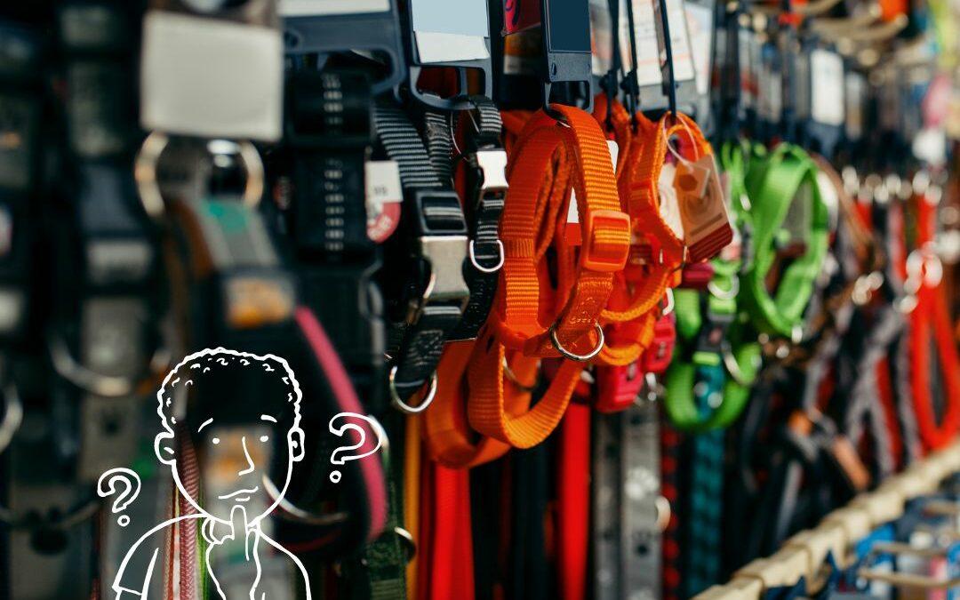 dog collars 101