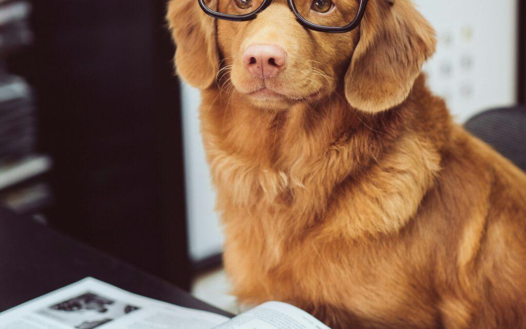 recent research findings about dogs