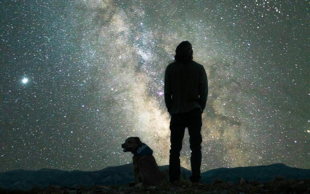 tips for dealing with pet grief
